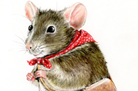 Samuel Squeaks